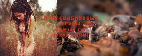 ALPHA-PVP Аркадак